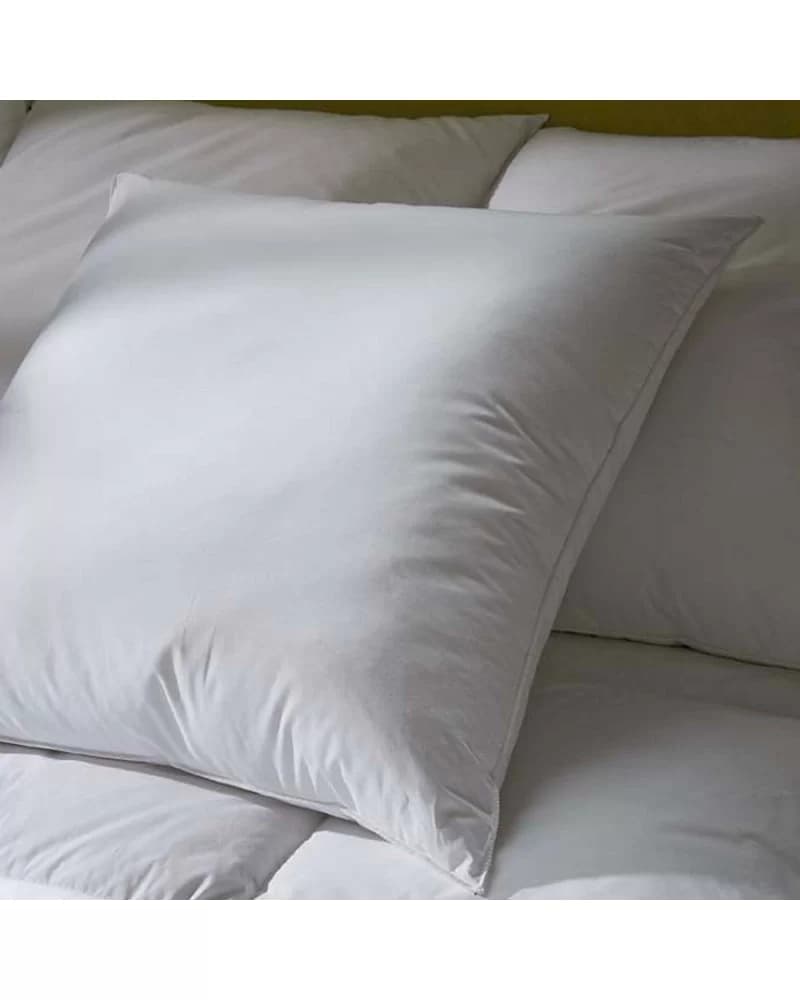 Oreiller Fibre Creuse LUXOTEL 65x65 cm