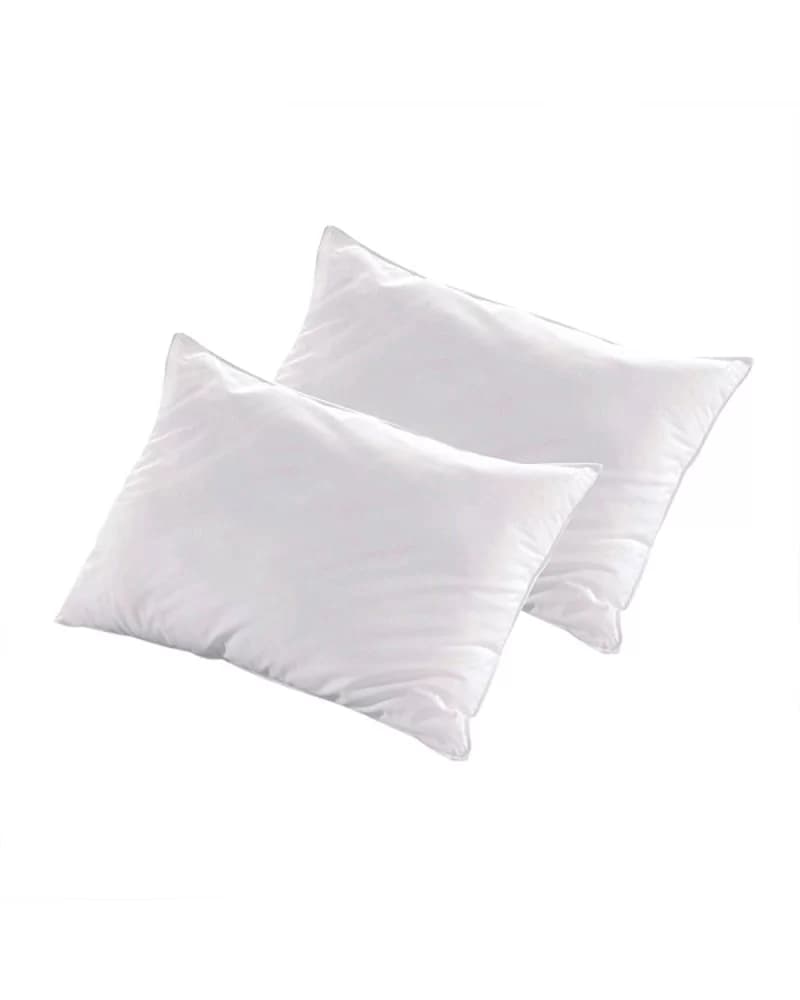 Lot de 2 Oreillers LUXOTEL 45x70 cm