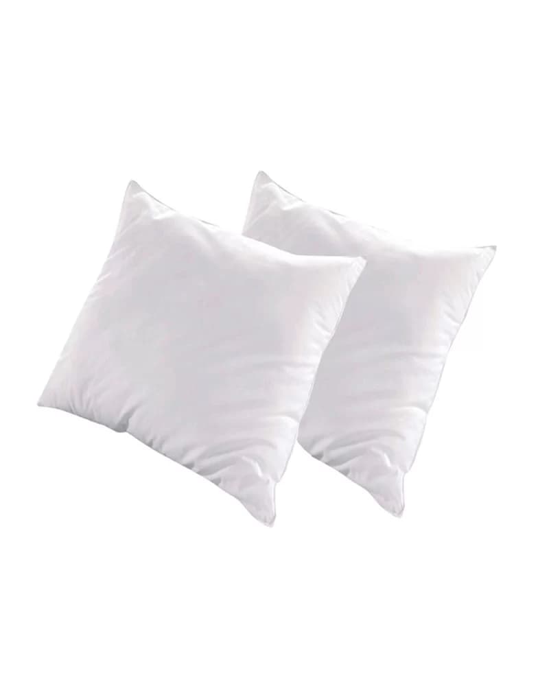 Pack de 2 Oreillers ALASKA 65x65 cm