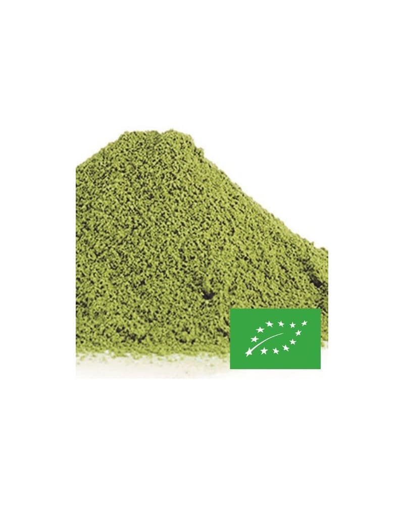 thé en vrac matcha taishan bio boite 50 gr