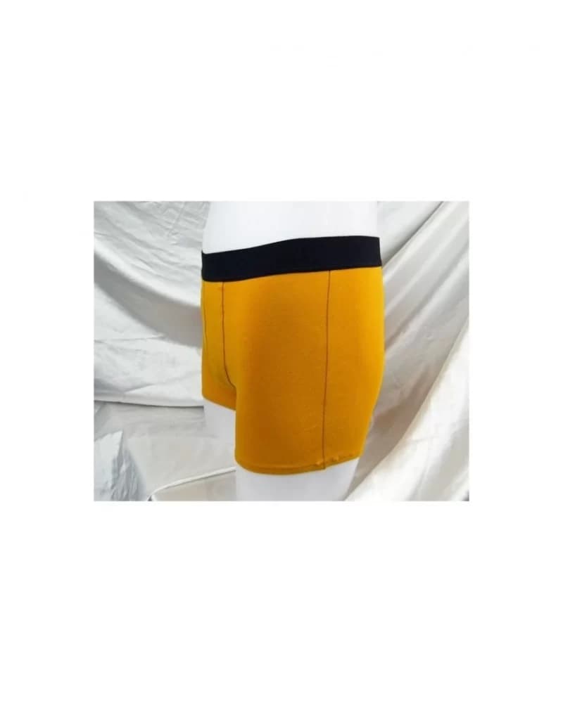 Daniel - Boxer Bio Homme